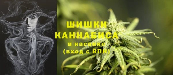 шишки Беломорск