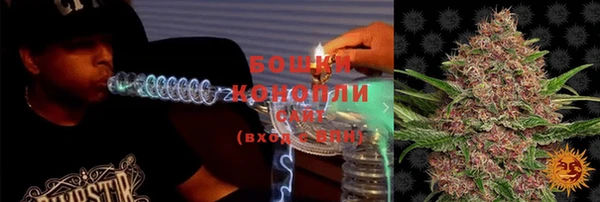 шишки Беломорск