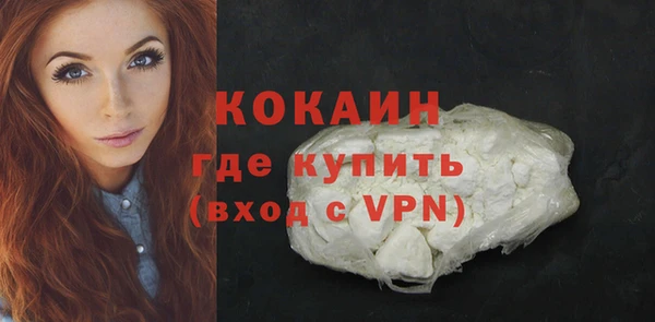 шишки Беломорск