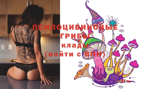 ECSTASY Белоозёрский