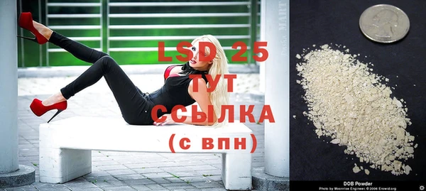 шишки Беломорск