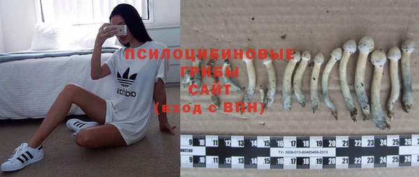 шишки Беломорск